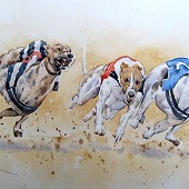 Greyhounds 2.